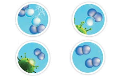 Quel est le principe de la désinfection à l’ozone?