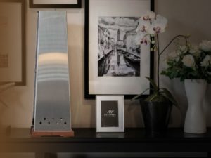 Purificateur d'air professionnel