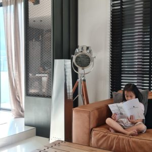 Purificateur d'air professionnel